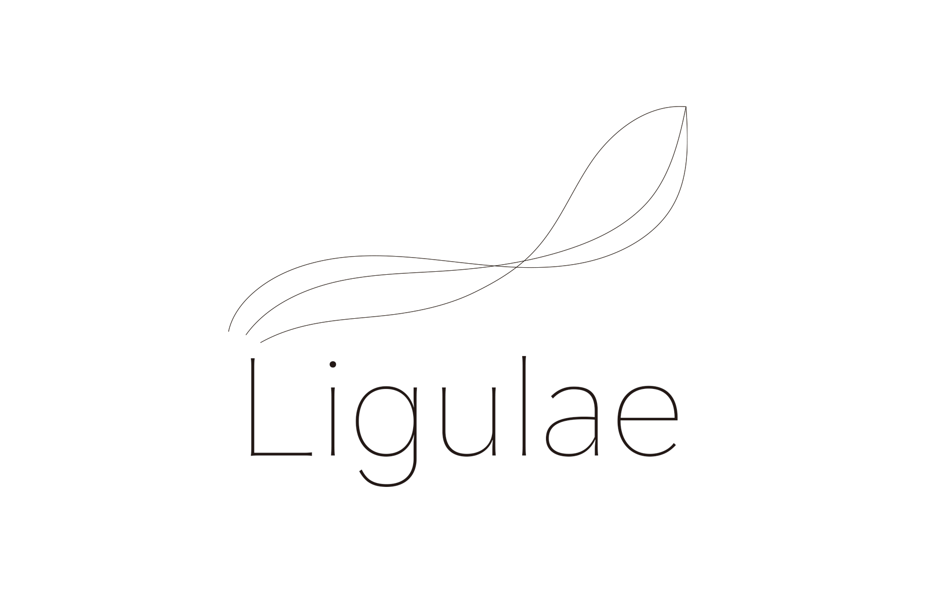Ligulae ロゴ