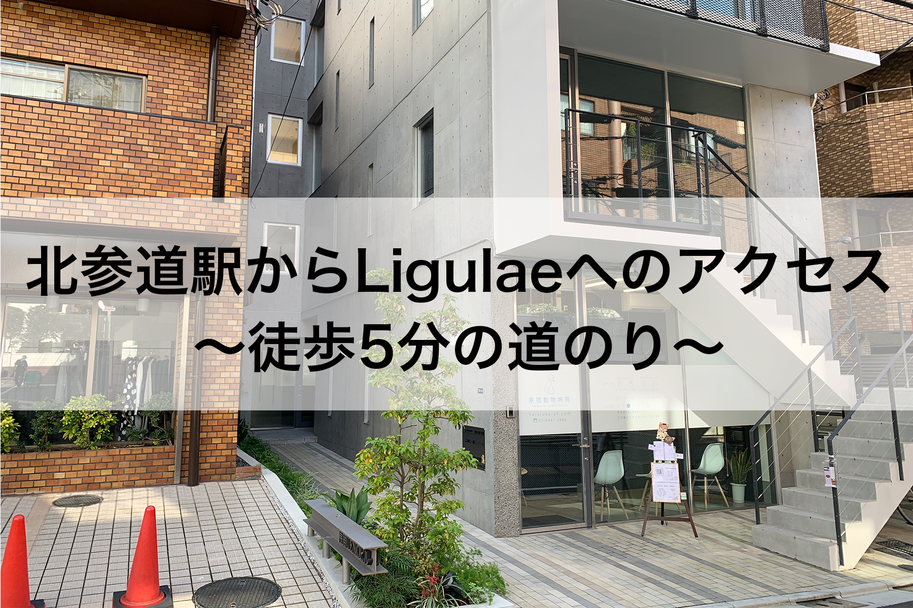 北参道からのアクセス