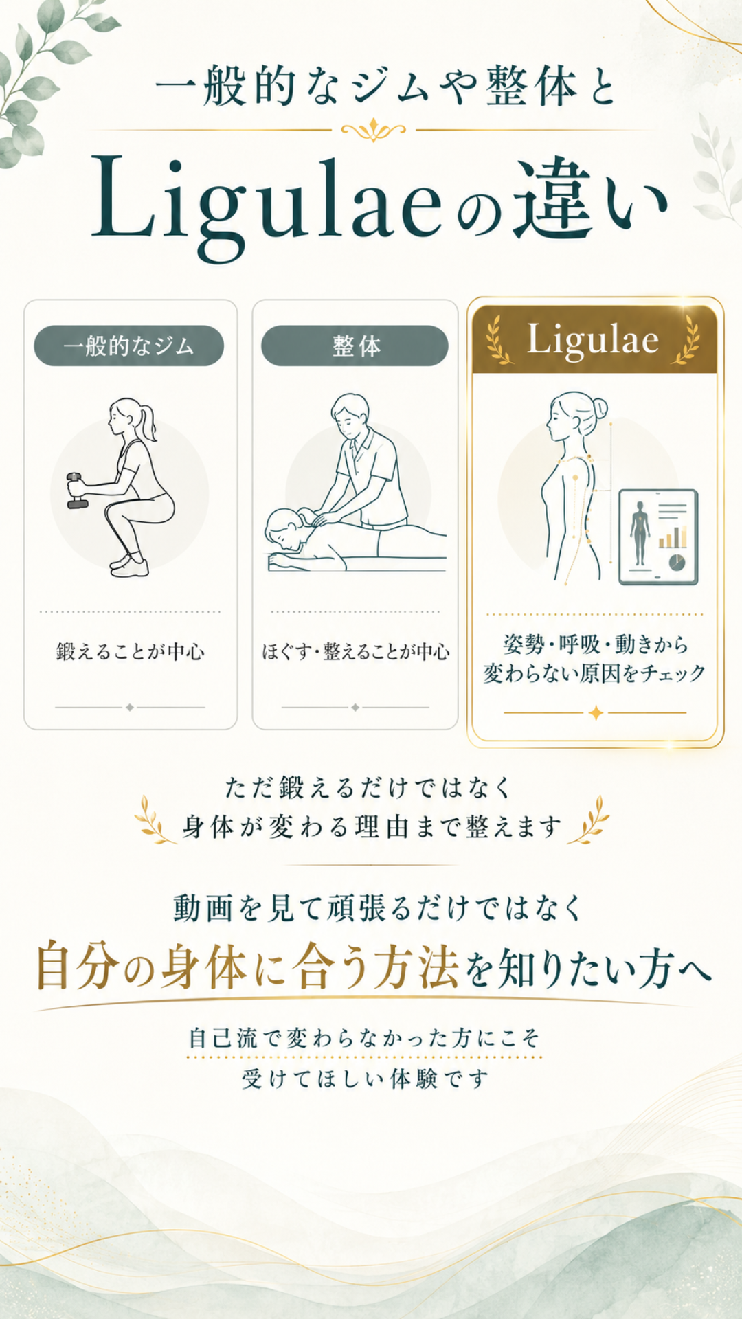 一般的なジムや整体とLigulaeの違い。身体に合う方法を知りたい方へ
